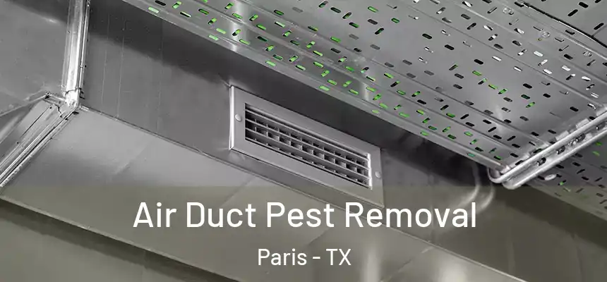  Air Duct Pest Removal Paris - TX