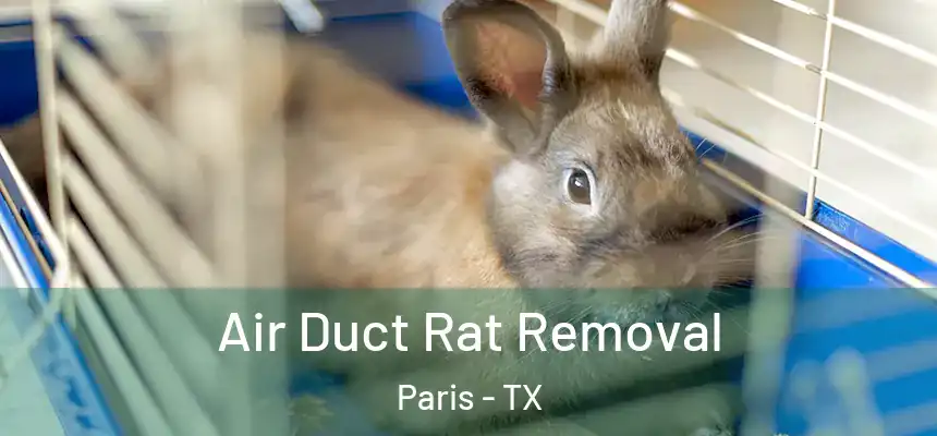  Air Duct Rat Removal Paris - TX