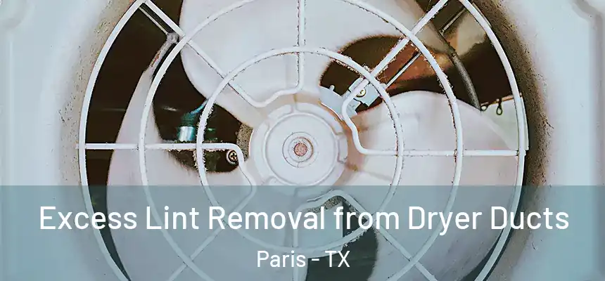 Excess Lint Removal from Dryer Ducts Paris - TX