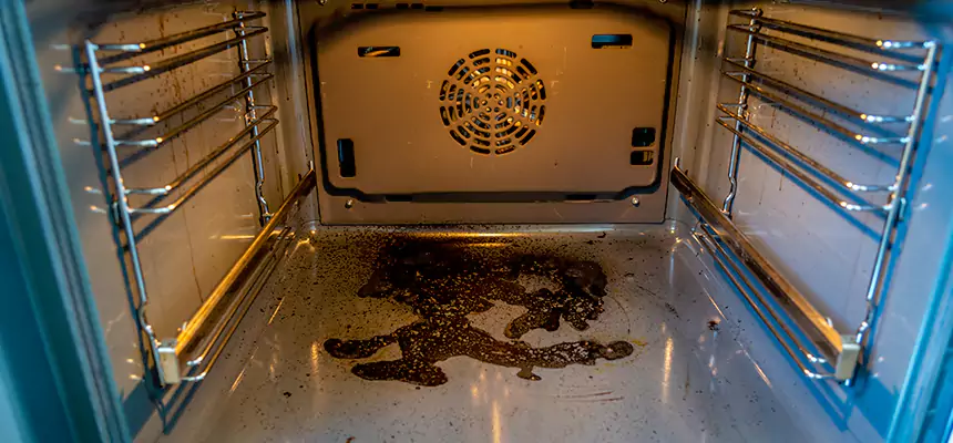 Our Dryer Vent Mold Cleaning Services in Paris, TX