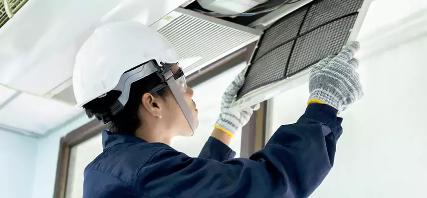 Our Mold & Mildew Removal from Air Ducts Services in Paris, TX