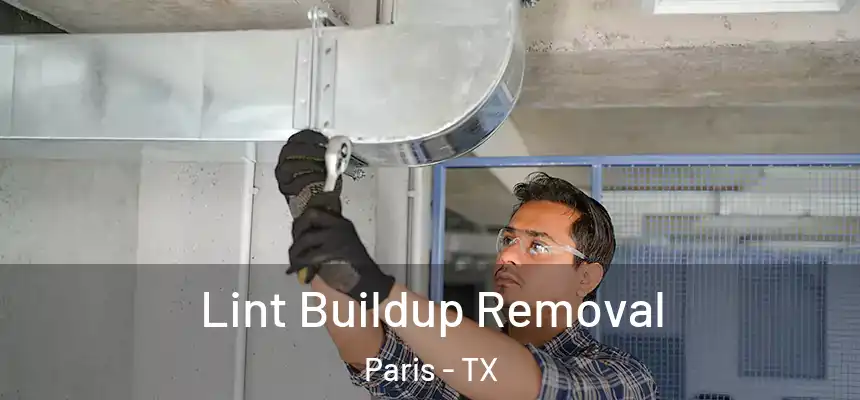  Lint Buildup Removal Paris - TX