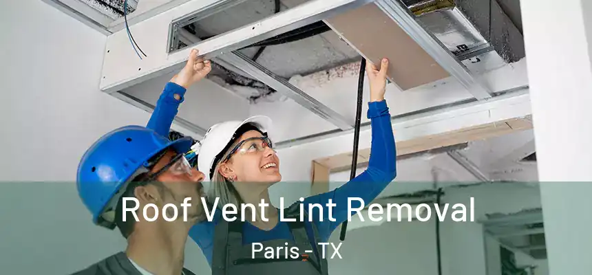 Roof Vent Lint Removal Paris - TX