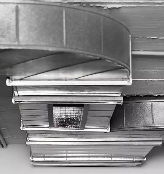 Professional Air Duct Pest Removal in Paris, TX