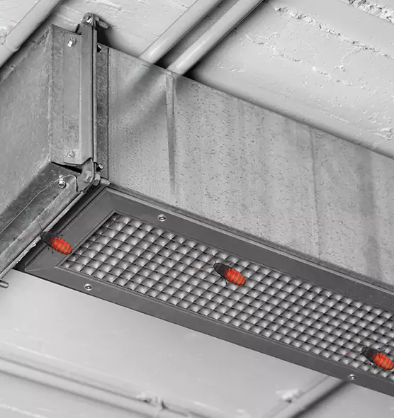 Affordable Insect Removal from Air Ducts in Paris, TX