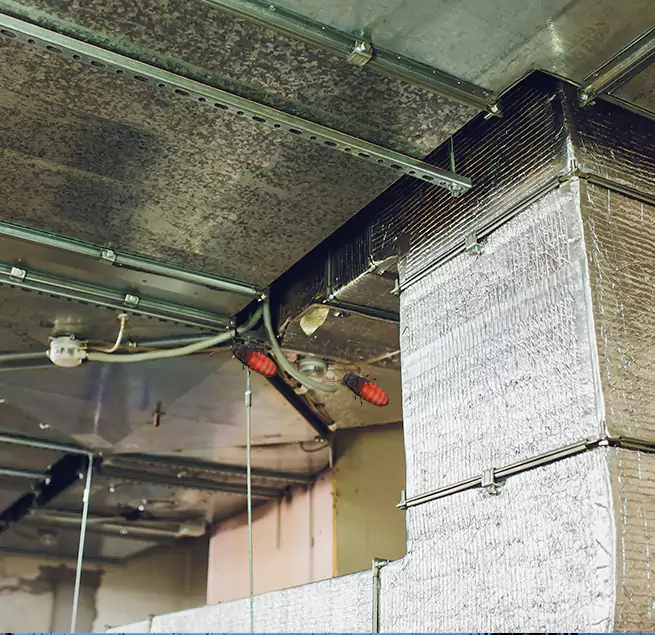 Why Homeowners & Businesses Trust Us in Paris, TX?