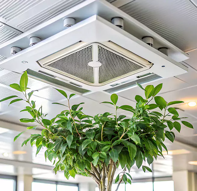 Why Homeowners & Businesses Trust Us in Paris, TX?