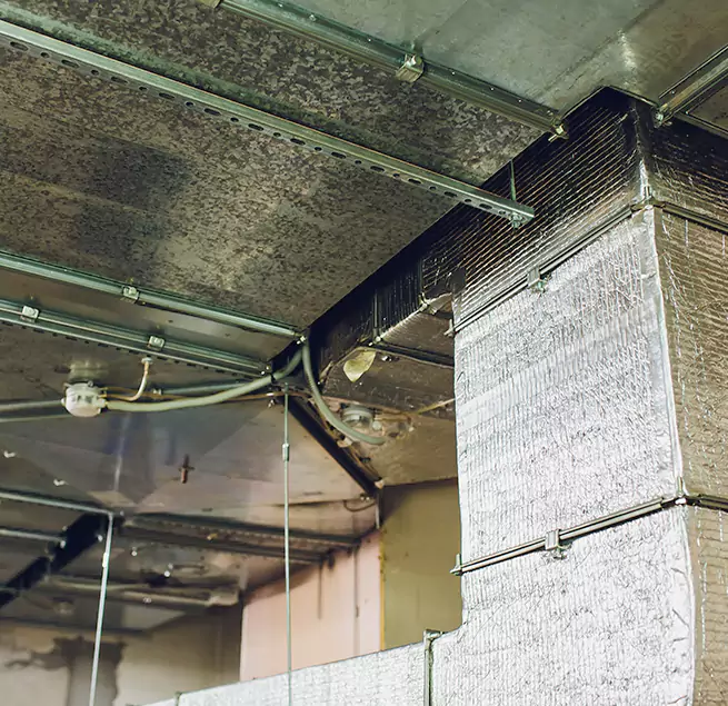 Why Homeowners & Businesses Trust Us in Paris, TX?